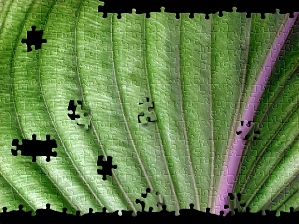 Creation of Difficult jigsaw: Step 2